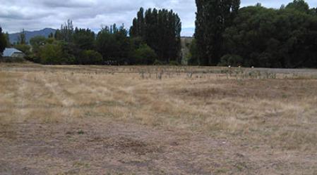 Reserve mowing trial
