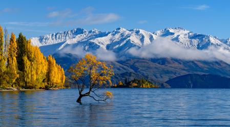 Wanaka