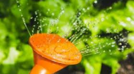 sprinkler
