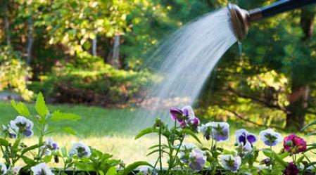 water restrictions