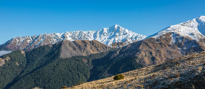 Ben Lomond 1
