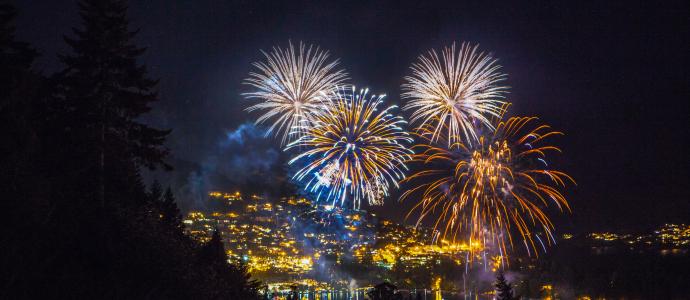 New Years Fireworks 2016 med 1