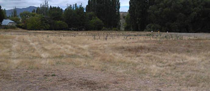 Reserve mowing trial