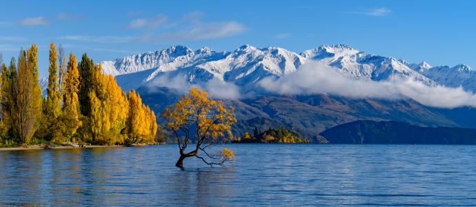 Wanaka2