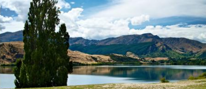 lake hayes