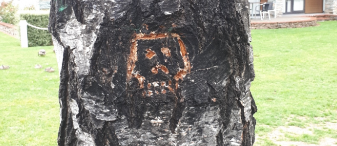 trees