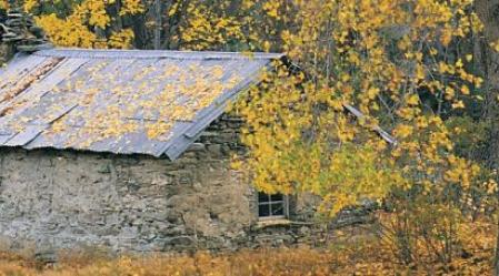 1_autumn.jpg