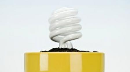 1_lightbulb_resized.jpg