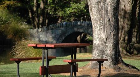1_queenstown_gardens_3.JPG