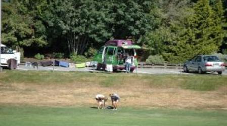 freedom_campers_resized_and_pixelated.jpg