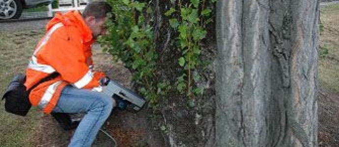 1_Samuel_Earp_using_resistograph_St_Omer_Park_19jan14.jpg