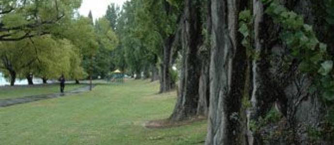 1_St_Omer_Park_19jan14.jpg