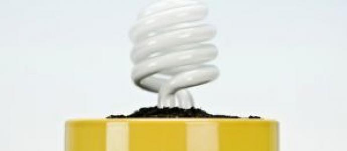 1_lightbulb_resized.jpg