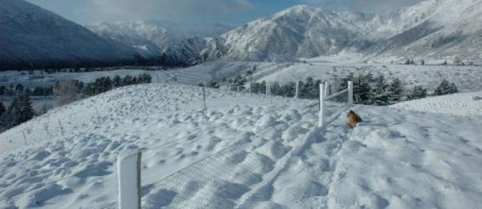 1_winter_fencing.jpg