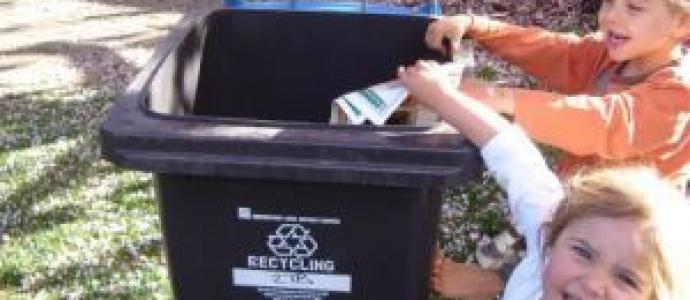 2_Recycling_bins_resized_300.jpg