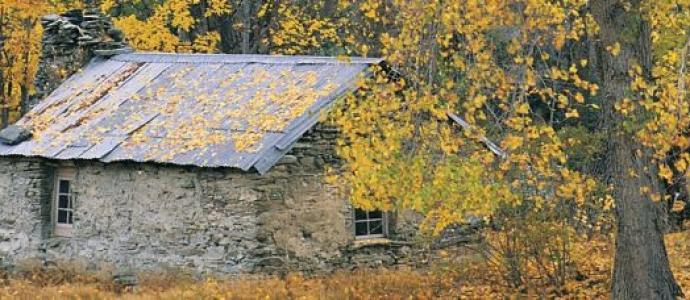 2_autumn.jpg