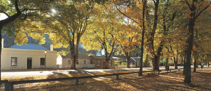 Arrowtown_streetSMALL.png