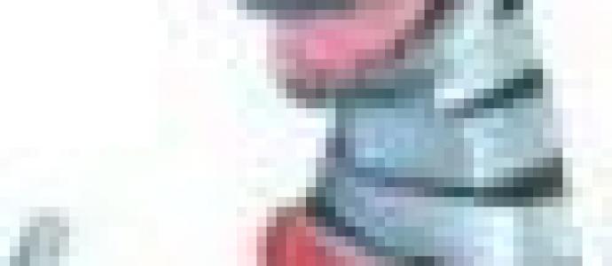 big_dog_resized2.jpg
