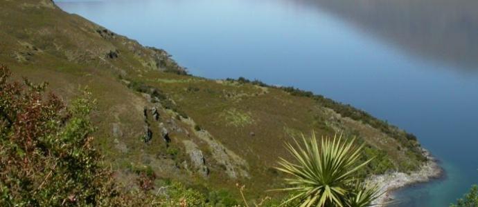 wanaka_scenic.JPG