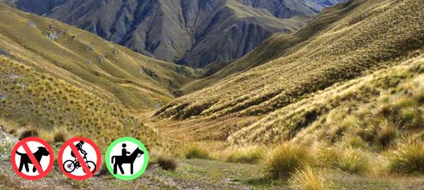 Wakatipu Walkways Big Hill