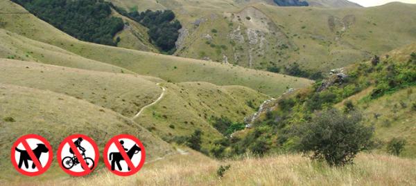 Wakatipu Walkways Sawpit Gully