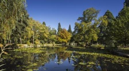 qldc parks