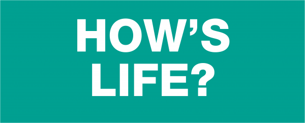 HOWS LIFE BANNER2